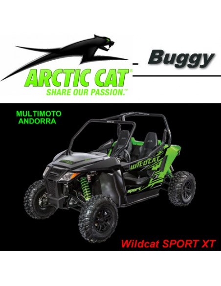 Wildcat 1000i X LTD