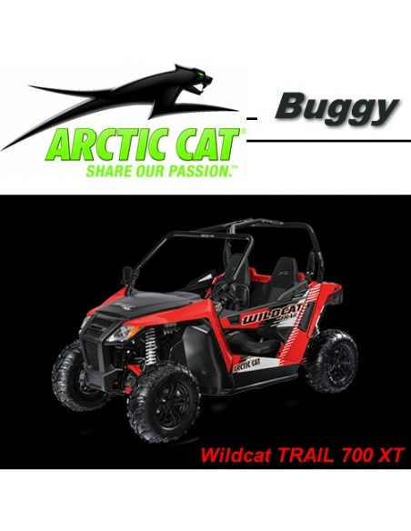 Wildcat 1000i X