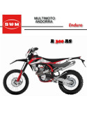 SWM RS 300 R