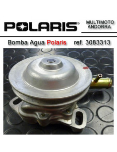 Pompe d'eau polaris 3083313