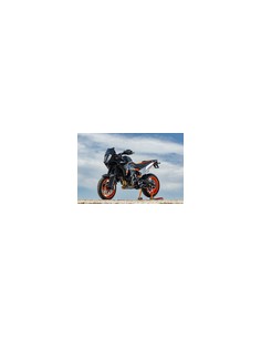 GUARDABARROS CARBONO 2