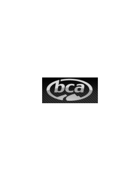 BCA