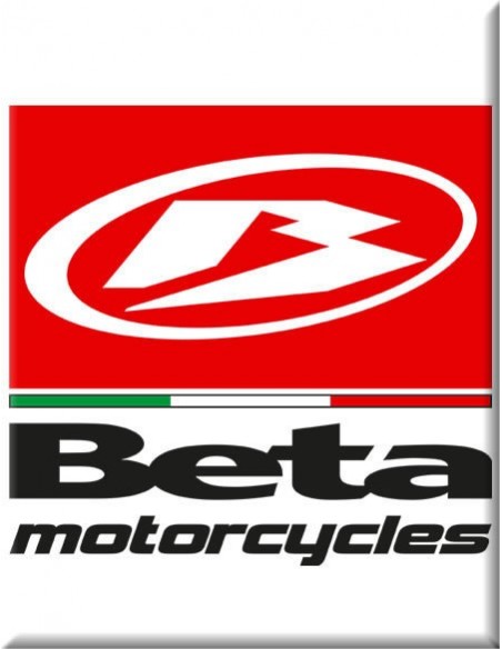 BETAMOTOR