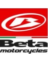 BETAMOTOR